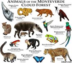 Pin On Idioma Ingles