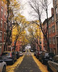 Brian On Instagram Might Snow Tonight But This Morning Just A Dusting Of Yellow On Beaco Travel Photography Nature Wanderlust Photography Travel Photography