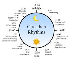How To Stay In Tune With The Rhythm Of Nature Body Clock
