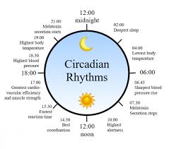 how to stay in tune with the rhythm of nature body clock