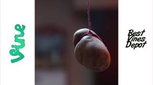 That awkward moment, swillystarstruck, its undresea and im back. The Potato Flew Around My Room Full Song Herunterladen