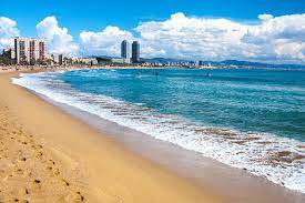 Beaches in barcelona like the la barceloneta, bogatell, & the la marbella, are few of the best beaches that offers perfect atmosphere to unwind in much famed as playa and platja in spanish and catalan language respectively, the beaches in barcelona are worth spending the summers in spain. Barcelona Spain Beaches Steemit
