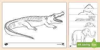 Free rainforest animals colouring pages teacher made. Jungle Animals Black And White Sheets Twinkl Resources