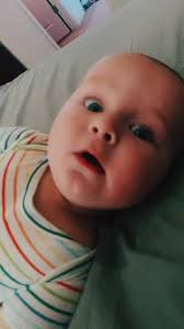 Elle berry (@elleberr)