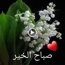 Sign In Beautiful Flowers Wallpapers Flower Wallpaper Beautiful Flowers