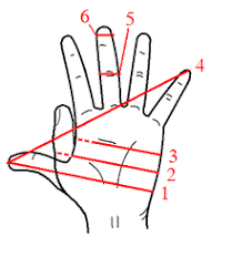 The chinese equivalent of this symbol is a fist balled up with the thumb between the middle. Span Unit Wikipedia