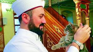 Imam opens up mosque for stray cats