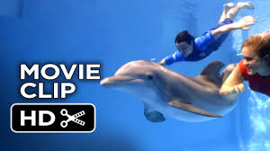 These two amazing dolphins will also be starring in the upcoming movie dolphin tale 2! Dolphin Tale 2 Movie Clip Bethany And Sawyer Swim With Winter 2014 Morgan Freeman Drama Hd Youtube