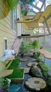 35 Pet Friendly Backyard Ideas And Designs Pet Friendly Backyard Cat Patio Outdoor Cat Enclosure