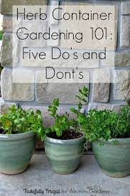 5 Dos And Don Ts For Planting Herbs Western Garden Centers Container Herb Garden Herb Containers Planting Herbs