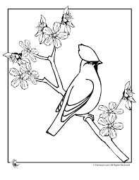 Check spelling or type a new query. Cherry Blossom Coloring Pages Coloring Home