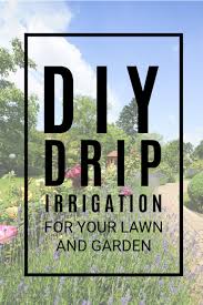There are a thousand and one reasons why you need a raised garden if you are a vegetable gardener. Diy Drip Irrigation Gardening