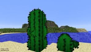 Here are 2 minecraft cactus farm choices that work in minecraft 1.16. How To Make Green Dye In Minecraft What Are Its Best Uses