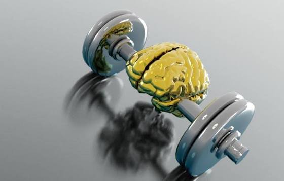 https://encrypted-tbn0.gstatic.com/images?q=tbn:ANd9GcQFZvCQd4LD8SSkw4Nd-bDR6NZT4Rf7XFZdY7Dh8_Vn9rNjDopvpRhQaZQ&s=10