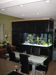 This is for a brand new 75 gallon rectangular dinning table aquarium in white maple (note: 350 Gallon Tank Divides Our Dining Room From Our Living Room I Couldnt Live Without It Fish Tank Fish Tank Design Aquarium