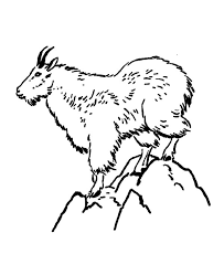 Check spelling or type a new query. Mountain Goat Coloring Pages For Kids Color Luna
