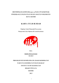 Kesehatan, kti skripsi gizi, kti skripsi kebidanan,. Judul Proposal Analis Kesehatan Lukisan