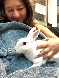 Vicki Lowe (@vikinfl)