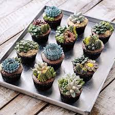 These cupcakes are especially for you, mom. Desert Inspired Desserts Hooray Mag Succulent Cupcakes Botanical Cake Savoury Cake