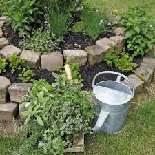 Krauter Pflanzen Die Besten Tipps Und Tricks Krauter Pflanzen Krauterspirale Bepflanzen Garten Pflanzen