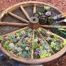 Selection Of Splendid 29 Cacti In Diy Flower Pots Cacti Diy Flower Pots Selection Splendid Diy Flower Pots Succulents Wagon Wheel Garden