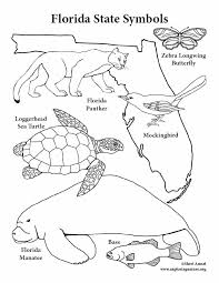 Learn how to draw state of florida pictures using these outlines or print just for coloring. Florida State Symbols Coloring Page