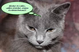 Maybe you would like to learn more about one of these? Alles Gute Zum Geburtstag Katze Grinsende Geburtstag Wunsche Spruche