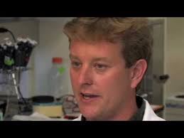 Neural Stem Cells Reverse Alzheimer's-Like Symptoms