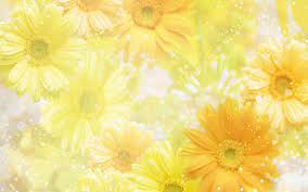 Free Yellow Spring Flowers Computer Desktop Wallpaper Yellow Flower Wallpaper Flower Wallpaper Spring Wallpaper Hd