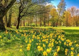 Family owned wilson north carolina florist local flower delivery nc 15 Best Things To Do In Wilson North Carolina
