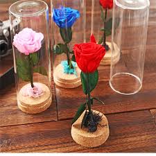 15% coupon applied at checkout save 15% with coupon. Mini Rose In Glass Novocom Top