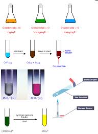 Redox And Qualitative Analysis 24 5 Diagram Quizlet