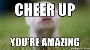 May 25, 2021 · the latest tweets from milk man 🔞 (@aestheticc_meme). 20 Cute Animal Memes To Cheer You Up Ultima Status
