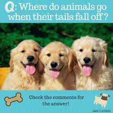 Maybe put on some weird looks or dramatic, silly make up then snap a selfie. Jack Canfield On Twitter Ha Ha Share Your Favorite Funny Joke To Make Someone Smile Today