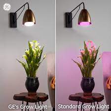 We did not find results for: 9w Ge Lighting Br30 Full Spectrum Led Grow Light Bulb For Indoor Plants Full Yard Garden Outdoor Living Home Garden