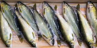 Tuna (thunnus sp.) merupakan jenis ikan laut pelagis yang termasuk dalam keluarga scombroidae. 8 Seafood Yang Aman Untuk Anak