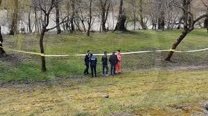 Vw passat 2015, 2.0tdi, led, corneringlights, navi, xenon. Decese Presasm È™tiri Din Satu Mare