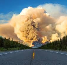 The wildland/urban interface fire of 2003 ravaged the city of kelowna and surrounding area. Forest Fire Ecologist Robert Gray Is It Finally Time We Heed His Advice Mountain Culture Group