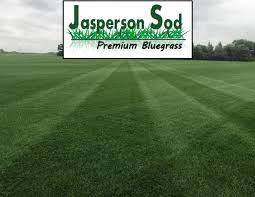 Kentucky Bluegrass - Jasperson Sod Farm