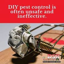 Matrix pest & termite elimination inc: Pest Control In Tucson Dsr Pest Control