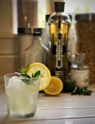 Vodka, lemon, and mint make for a refreshing lemonade punch you can whip up for a crowd. The Botanist Inside The Mind Of The Monkey