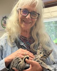 Kitties enjoy tasting new foods at boarding