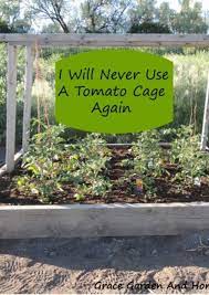 9 Amazing Diy Ideas How To Make Tomato Trellis For Rexgarden Tomato Trellis Tomato Planter Tomato Cages
