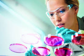 Bayer-Chef Bill Anderson im Interview: „Es hilft nur der radikale Wandel“