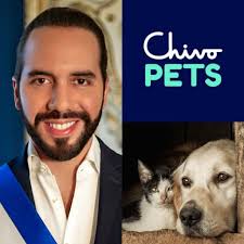 NAYIB BUKELE ORDENA ABRIR NUEVAMENTE CHIVO PETS...🐶♥️ Después de leer  decenas de miles de comentarios, mensajes, videos, publicaciones con apenas  2 horas de sueño, el señor presidente ordena que se reabra Chivo