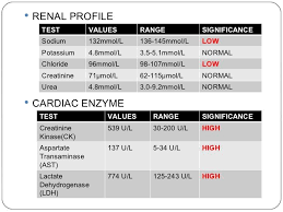 Lab Values Renal Profile And Cardiac Enzymes Nursing