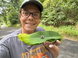 My Monarch journey… released him today 🦋