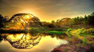 We hope you enjoy our growing collection of hd images to use as a background or home screen for your smartphone or computer. Beautiful Gold Sunrise Sky Clouds Tree Lake Reflection In Water Landscape 4k Ultra Hd Wallpapers Download At Wallpaper Wallpapers13 Com