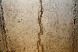 Termites love building deep muddy tunnels packed full of moisture because it helps them get to their food source much easier. Top 5 Termite Signs To Look For In The Home Terminix