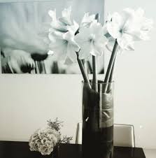 The website collected by this website comes from the. å†™çœŸ ç¨²åž£å¾éƒŽã®è‡ªå®…ä½æ‰€ã¯æ¸‹è°·åŒºåˆå° è‰å½…å‰›æ–°å±…ã®è¿'æ‰€ D Media